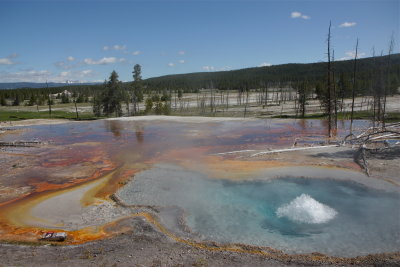 yellowstone np