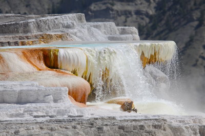yellowstone geyser and landscape