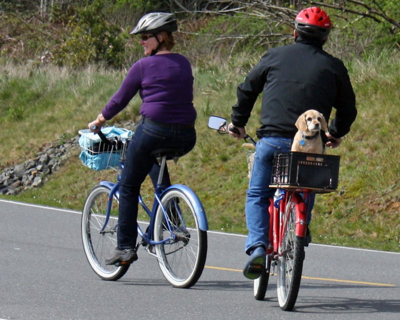 Afternoon ride with Friends