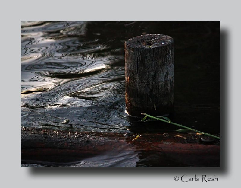 Water logged.....