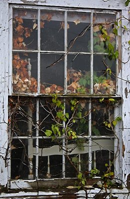 Window...