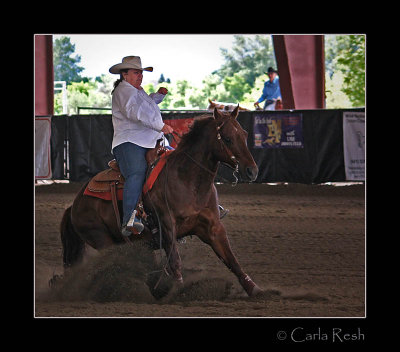 ORHA Horse Show this weekend