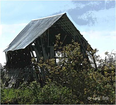 Old Barn....hanging in there...