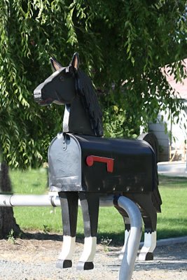 Black Horse mailbox