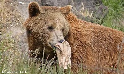 Sure glad mom packed my lunch today!