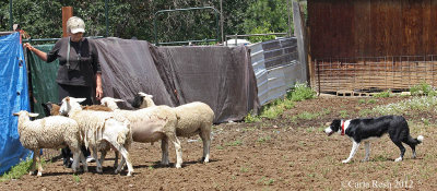 2012_06_23_0675_2.jpg