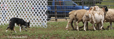 2012_06_23_0825_2.jpg