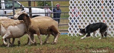 2012_06_23_0857_2.jpg
