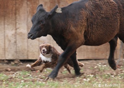 2012_06_23_0934_2.jpg