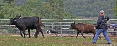 2012_06_23_0992_2.jpg
