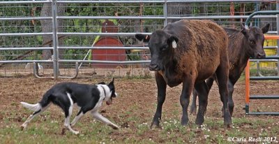 2012_06_23_1052_2.jpg