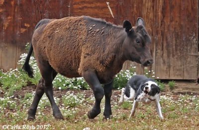 2012_06_23_1073_2.jpg