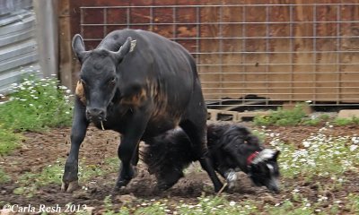 2012_06_23_1116_2.jpg