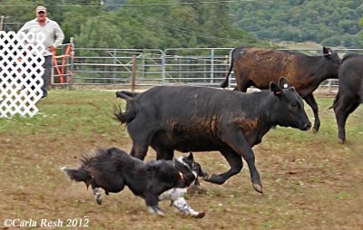 2012_06_23_1159_2.jpg