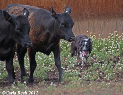 2012_06_23_1196_2.jpg