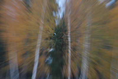 autumn 2.