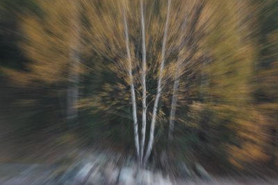 autumn 3
