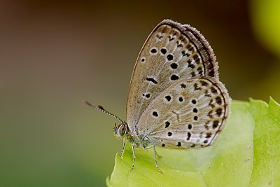 g4/09/982709/3/136632021.vq2eNSgr.jpg