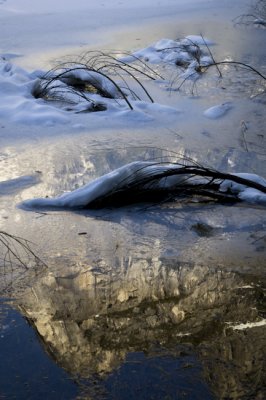 W-2011-02-09-1032- Yosemite -Photo Alain Trinckvel.jpg