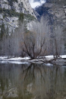 W-2011-02-09-0476- Yosemite -Photo Alain Trinckvel.jpg