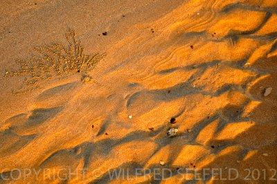 g4/09/992209/3/143880685.z6hIFl7p.jpg