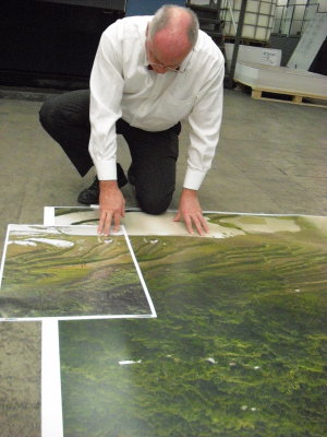 gordon comparing paddy 6 fields.JPG