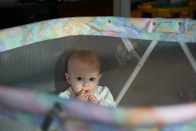 IMG_0785 800x600.JPG