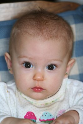 IMG_0821 - Copy 2 800x600.JPG