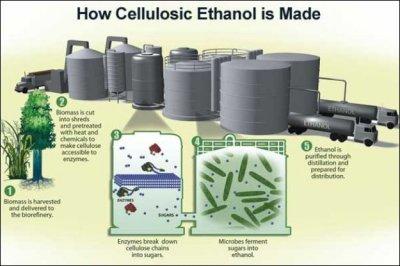 Ethanol and Fuel Standards