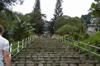 DSC_7307.jpg
