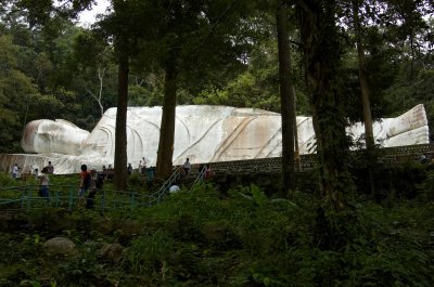 DSC_7323.jpg