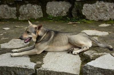 DSC_7326.jpg