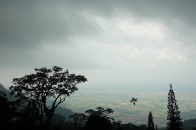 DSC_7338.jpg