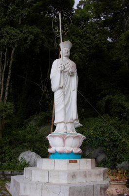 DSC_7341.jpg