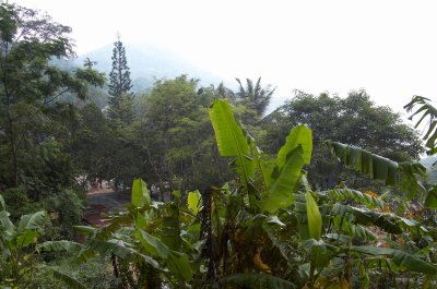 DSC_7343.jpg