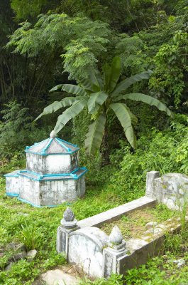 DSC_7347.jpg