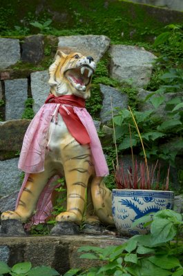 DSC_7354.jpg