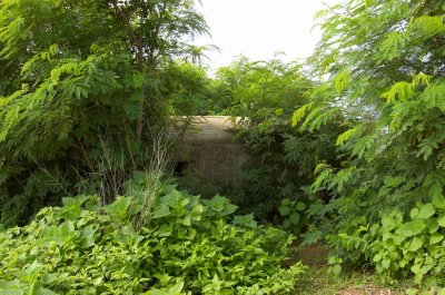 DSC_7282.jpg