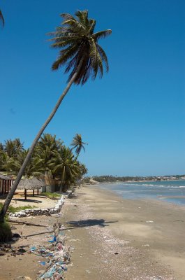 DSC_7416.jpg