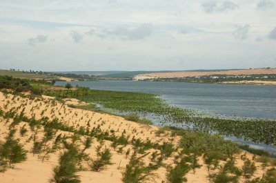 DSC_7161.jpg