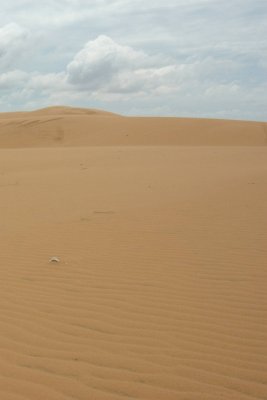 DSC_7171.jpg