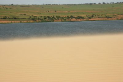 DSC_7175.jpg