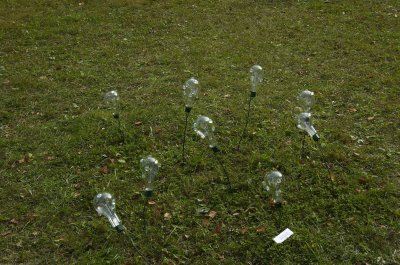 DSC_2125.jpg