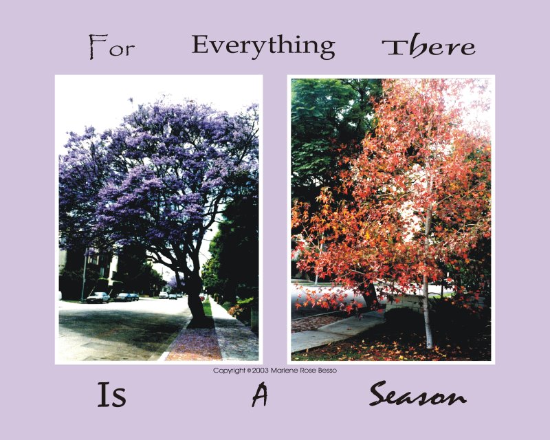 Seasons