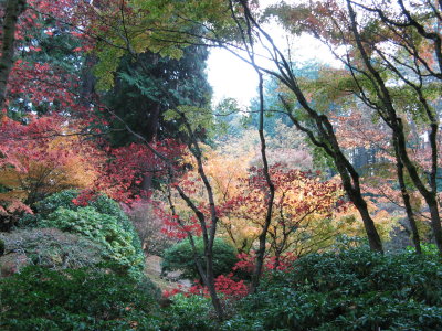 Oregon Japanese Garden