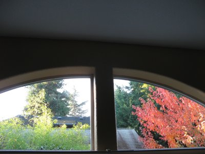 Autumn windows 2011