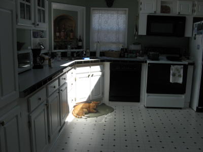 Morning Sun Mookie