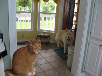 The Boys