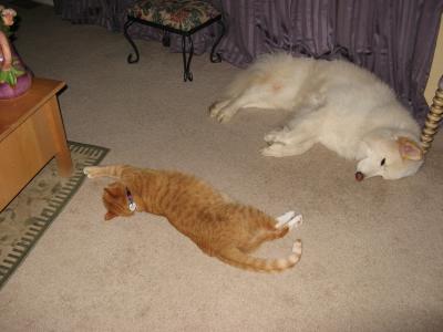 The Boys after a long day