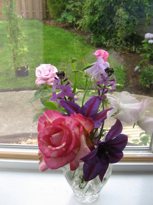 Office Window View / Roses Inside & Out